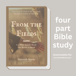 From the Fields: a Four Part Study Over the Book of Ruth
